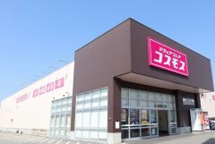 ディスカウントドラッグコスモス高野口店 徒歩7分。 540m